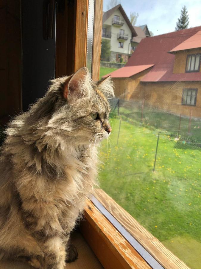 Bukowy Gosciniec Apartment Poronin Bagian luar foto